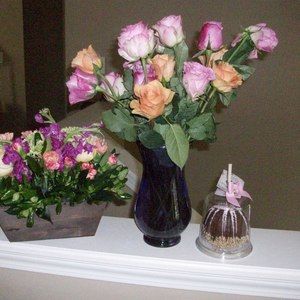 Meet your Posher, Carol